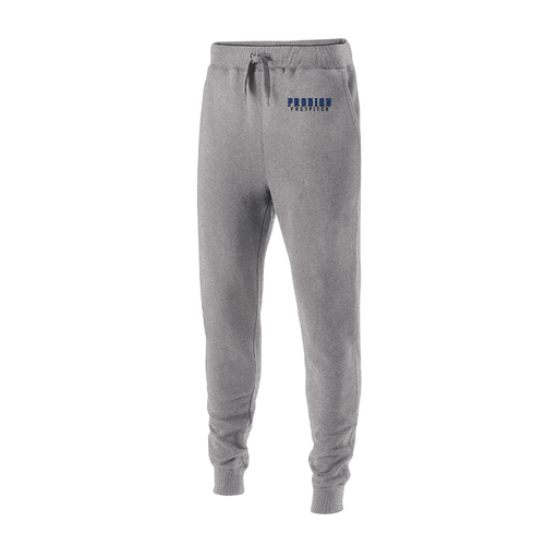 [229648.017.S-LOGO2] Youth 60/40 Fleece Jogger (Youth S, Silver, Logo 2)