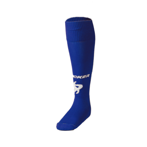 Prodigy - NE - Fall 23' - Royal Sock